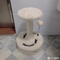分享几个正在用的养宠好物