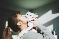 猫是如何理解亲吻的呢？与猫亲近的正确方法
