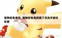 宠物蛇有毒吗