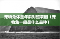 宠物兔体重年龄对照表图（宠物兔一般是什么品种）