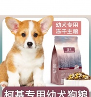 10个月大的柯基一天应该吃几顿狗粮？