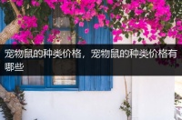 宠物鼠的种类价格，宠物鼠的种类价格有哪些