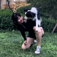 天津晓伟驯犬师培训（招学员学徒）的个人主页