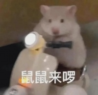 00后给鼠鼠买房，买出一个数亿品牌
