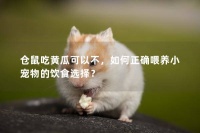 仓鼠吃黄瓜可以不，如何正确喂养小宠物的饮食选择？