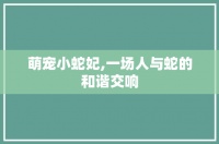 萌宠小蛇妃,一场人与蛇的和谐交响