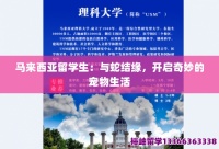 马来西亚留学生：与蛇结缘，开启奇妙的宠物生活