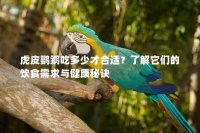 虎皮鹦鹉吃多少才合适？了解它们的饮食需求与健康秘诀