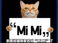 神奇动物猫咪文化引关注，萌宠知识受热捧