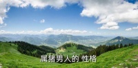 属猪的性格,猪年出生的人