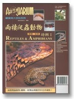兩棲爬蟲動物 蜥蜴、蛇類特輯Ⅰ——观赏鱼大百科65