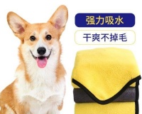 狗狗掉毛很多？看看洗澡的正确方法