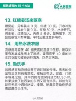 宠物过敏源调查与防治指南