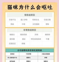 猫咪断奶后吃猫粮呕吐是什么原因？如何解决？