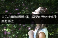 常见的宠物蜥蜴种类，常见的宠物蜥蜴种类有哪些