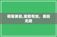 萌宠美容,宠爱有加，美丽无限
