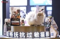 全球首款抗过敏猫粮本土升级上市，让数千万中国爱猫家庭“自由吸猫”