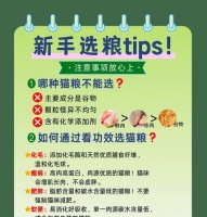 猫粮中含盐量为何偏高？这对猫咪健康有何影响？