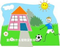 室内养什么宠物没有异味