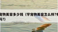 学宠物美容多少钱（学宠物美容怎么样?有前景吗?）