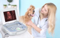 宠博士A5型笔记本式兽用版b超仪