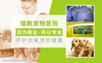 瑞鹏宠物医院怎么样？宠物医院选择指南