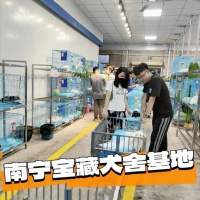 南宁买宠物到哪里买，南宁卖狗的地方在哪里，这可实体店挑选宠物