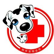 简阳本地流浪猫领养来...