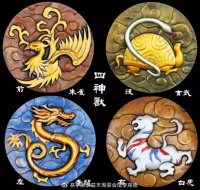 养宠物有讲究？这五大镇宅安宅的灵性动物，可以提升运势和兴家旺财