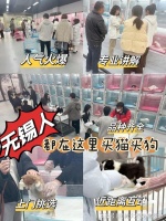 无锡哪里有正规宠物基地 ？此处安全可靠且可实体店挑选选宠！
