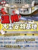温州哪里有买狗买猫的市场?这里有你想要的还能亲自挑选宠物哦
