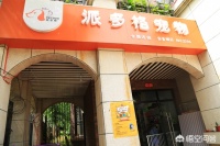 现在加盟派多格连锁合适吗？