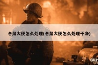 仓鼠大便怎么处理(仓鼠大便怎么处理干净)