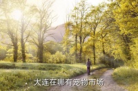 大连宠物，大连在哪有宠物市场