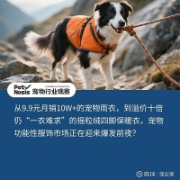 爆火的功能性宠物服饰，是智商税吗？ 作者：网页链接