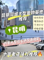 昆明哪里有便宜的猫狗市场?这儿有实体店可选，放心大胆挑吧