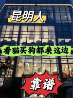 昆明宠物猫狗在哪里买靠谱，这里可以线下实体店挑选宠物！