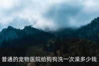 宠物医院给狗洗澡多少钱，普通的宠物医院给狗狗洗一次澡多少钱