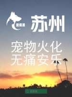 苏州宠物身后事：如何制作宠物纪念品留存回忆？