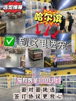 哈尔滨买狗买猫的地方在哪里？安全可靠，可实体店挑选心仪的宠物