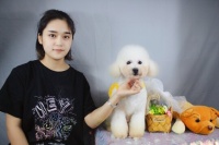 学宠物美容师学费要多少钱？