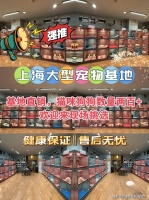 上海买狗狗应该去哪里？（上海）正规买宠物基地，买宠物的好去处！