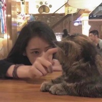 抱着猫咪的女生可爱头像大全2018 动了真心怎能说忘就忘