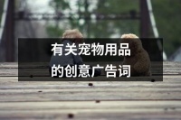 有关宠物用品的创意广告词（合集11篇）