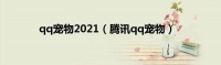 qq宠物2021（腾讯qq宠物）