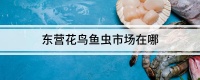 东营花鸟鱼虫市场在哪