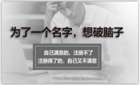 大气简单的宠物店名字：眼前一亮的宠物店名