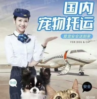 荆州石首东方大道宠物寄养电话