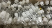 北京口岸截获三百只邮寄入境原生收获蚁：中国宠蚁圈热门品种