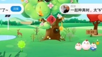 蚂蚁森林宠物养成攻略，轻松打造专属萌宠！